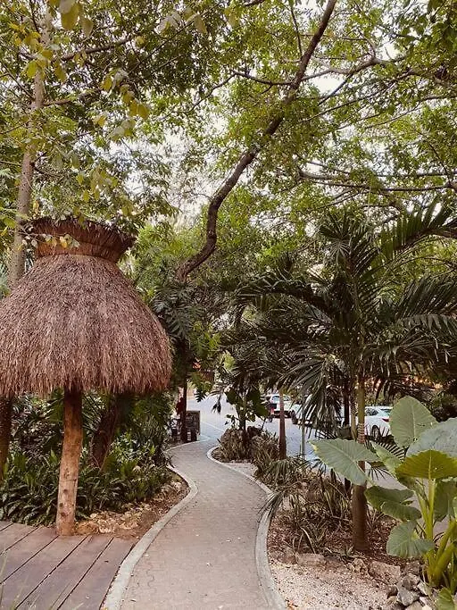 アパート Unique Stay In Playa - Walk To Beach + 5Th Avenue プレヤデルカーメン